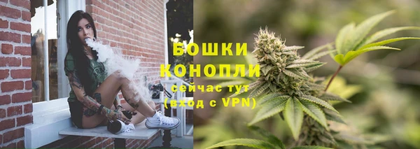 2c-b Белокуриха