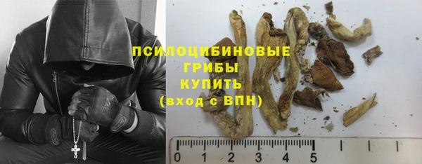 амф Беломорск