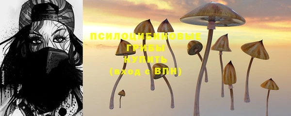 2c-b Белокуриха