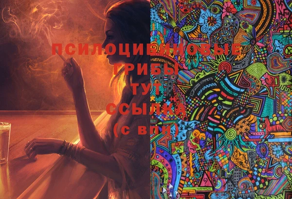 2c-b Белокуриха