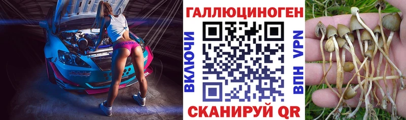 Галлюциногенные грибы Psilocybine cubensis  гидра ссылка  Верхняя Пышма  сколько стоит 